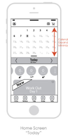 wireframes